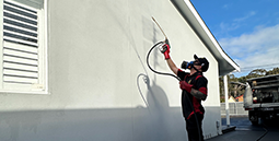 pest-control